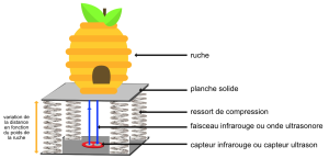 ruche sur ressorts