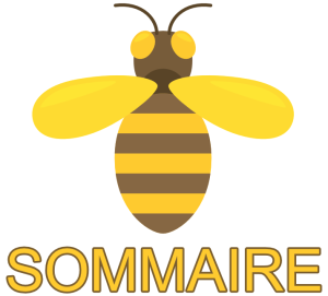 sommaire